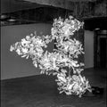 Pamela Tall Chandelier