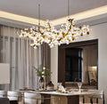 Marinae Chandelier