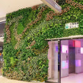 Artificial Plant Moss Subtropical Plant Decoration Home Wall Panel