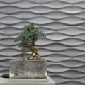 Fishy Wishy 3D Concrete Wall Panel